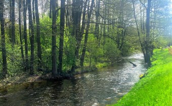 OKOLICA DZIAŁKI'