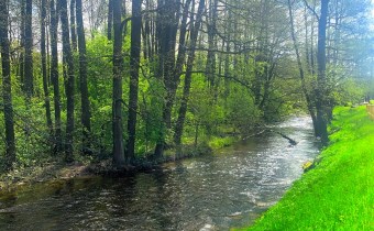 OKOLICA DZIAŁKI