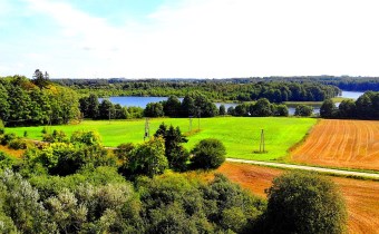 działka na sprzedaż - kolor zielony
