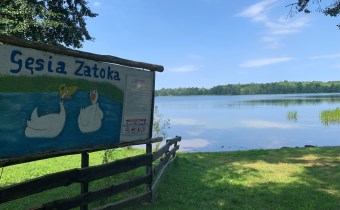 Plaża