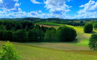 Widok z sypialni 